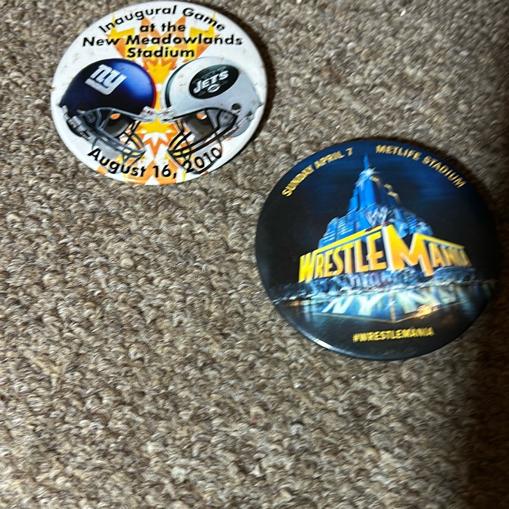 Inaugural pins